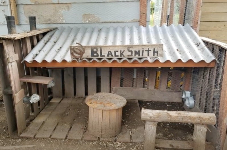 wild west chicken coop town