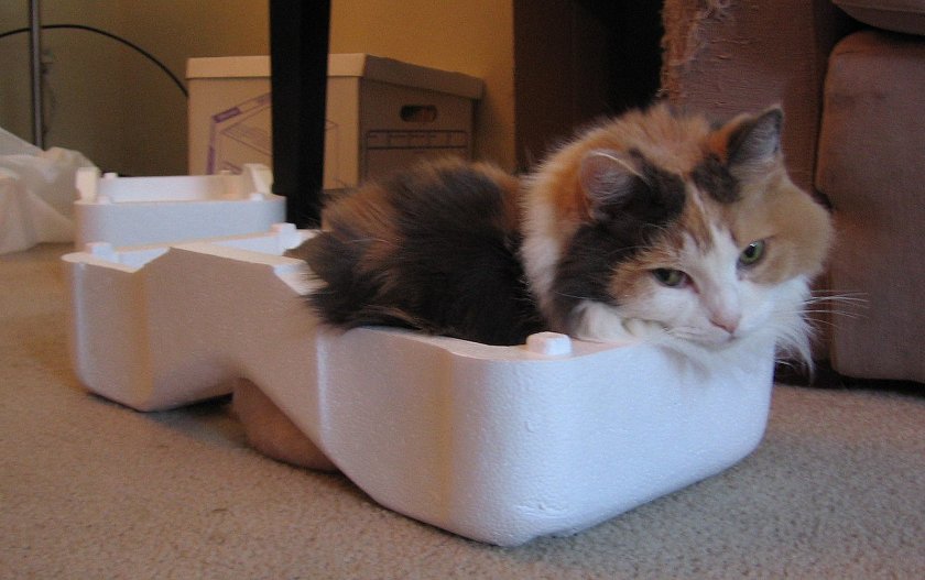 Can You Microwave Styrofoam