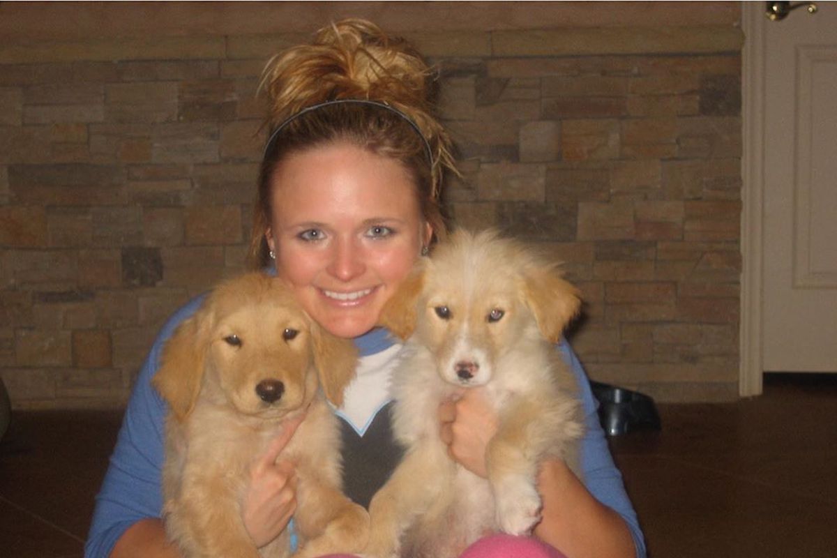 miranda lambert dog waylon