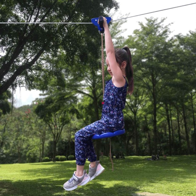 backyard zipline kit