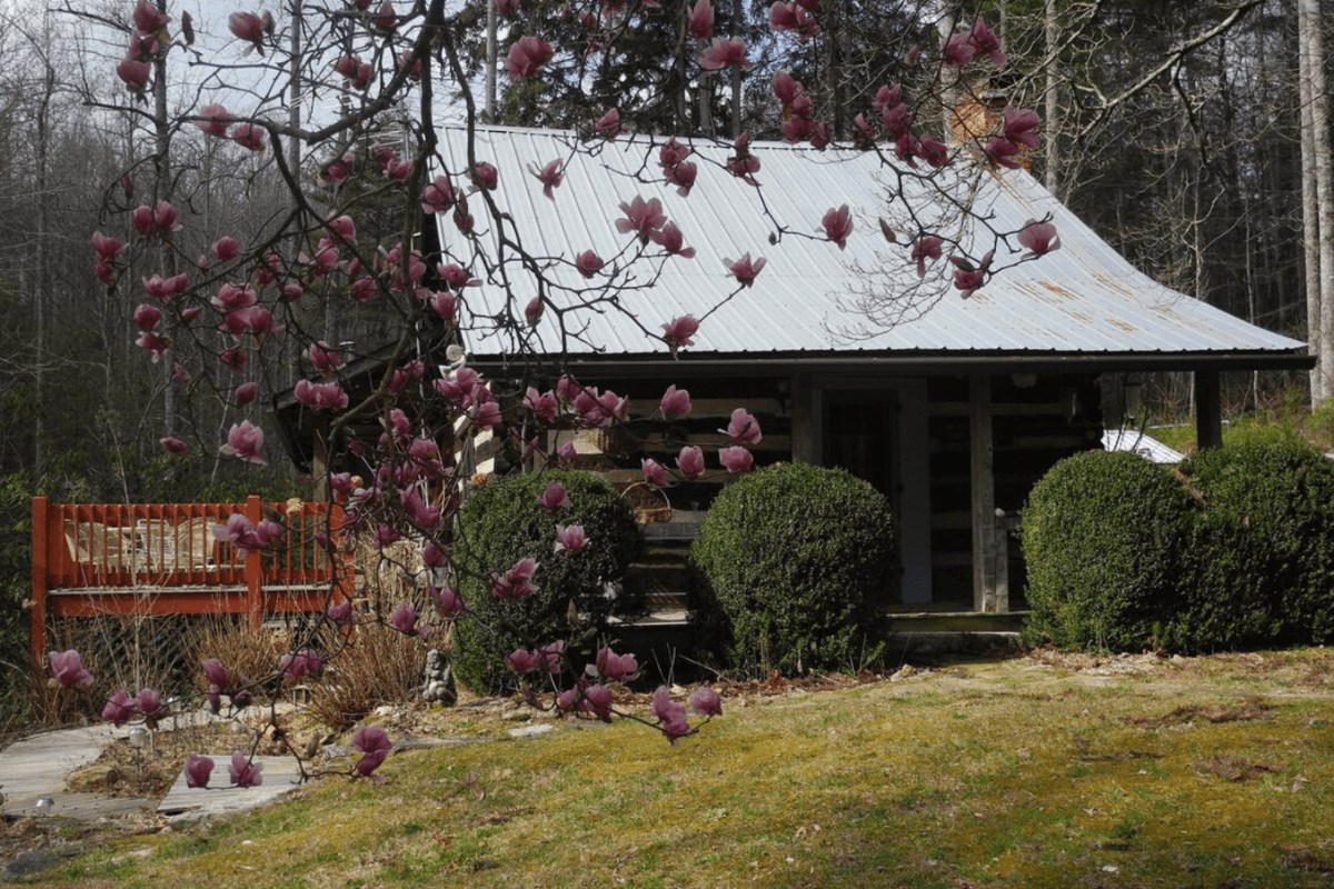log cabins airbnb