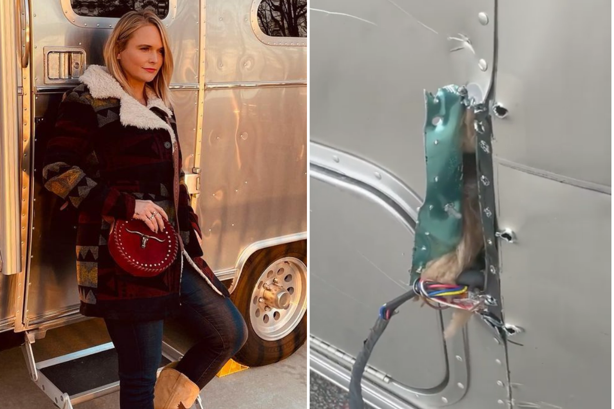 Miranda Lambert hit and run