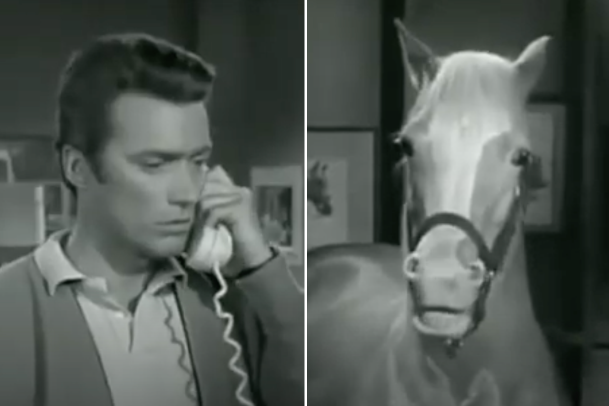 Clint Eastwood Mister Ed
