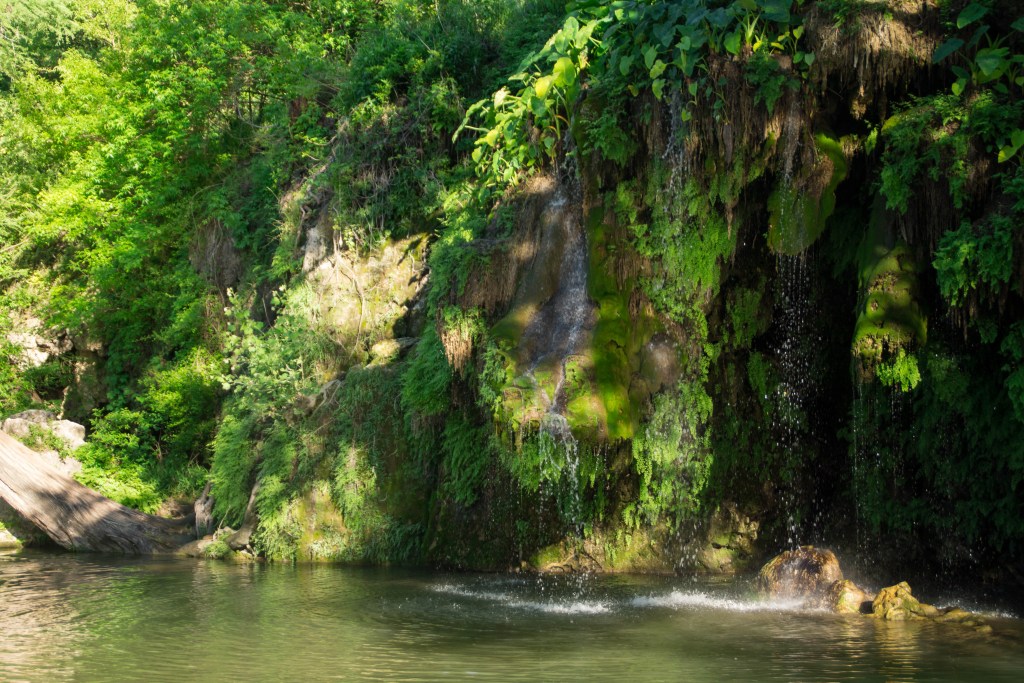 photo of Krause Springs