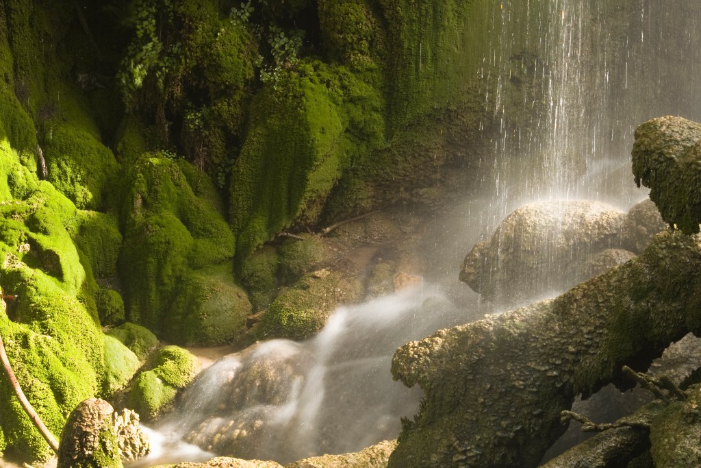 Gorman Falls, at Colorado Bend State Park, Texas.