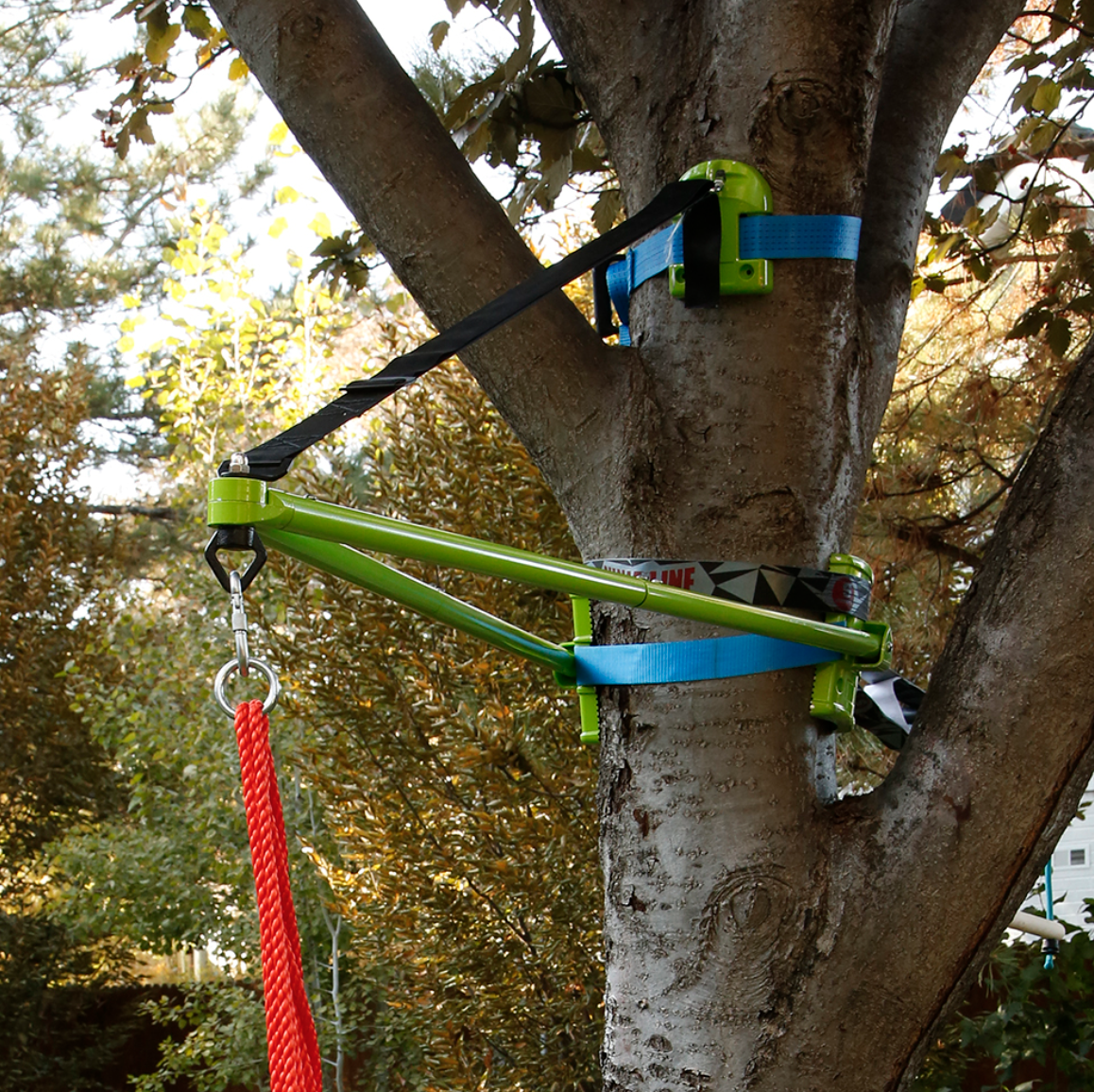 The Instant Tree Branch