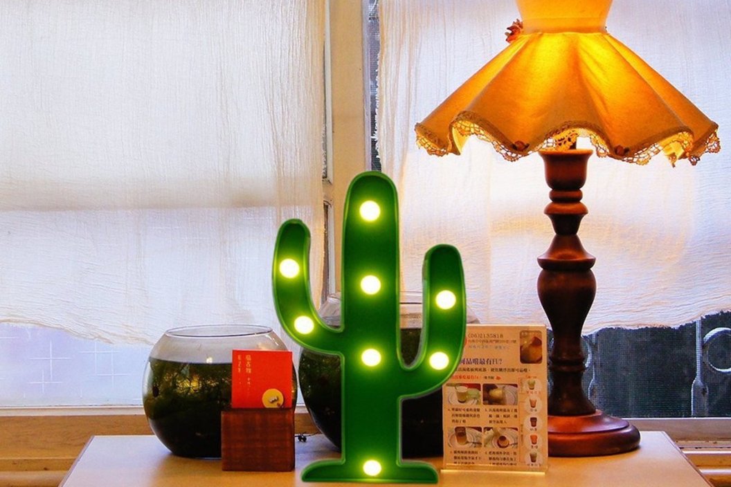 cactus decor
