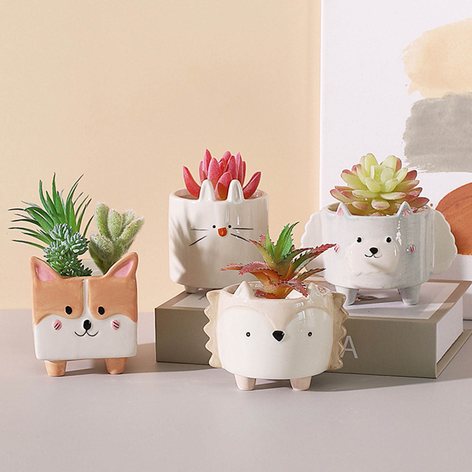 cactus decor