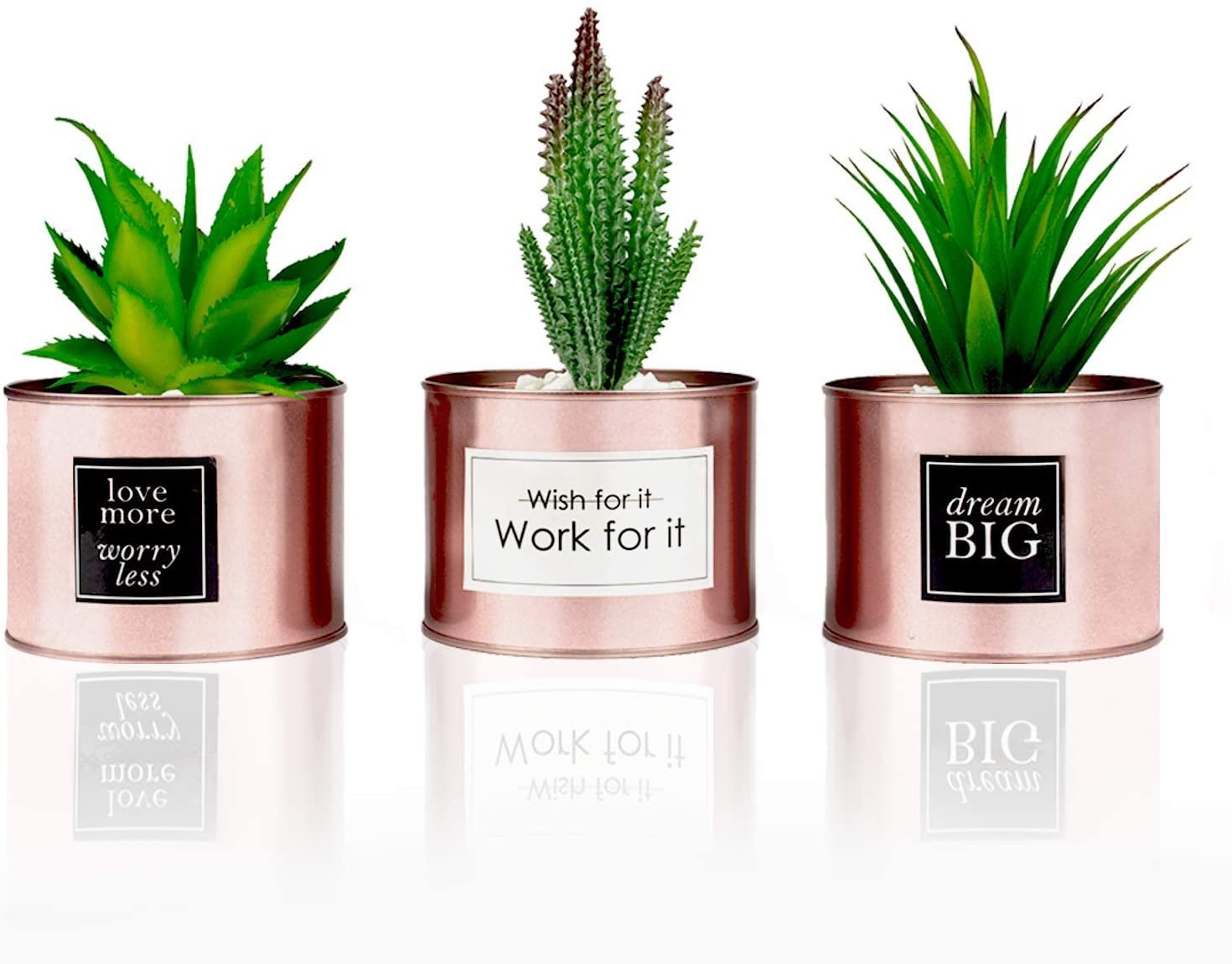 cactus decor
