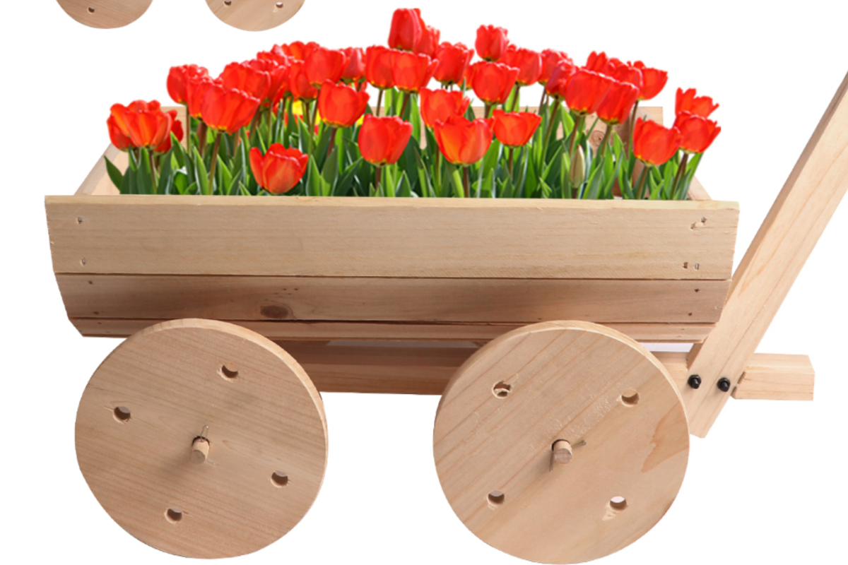 wagon planter