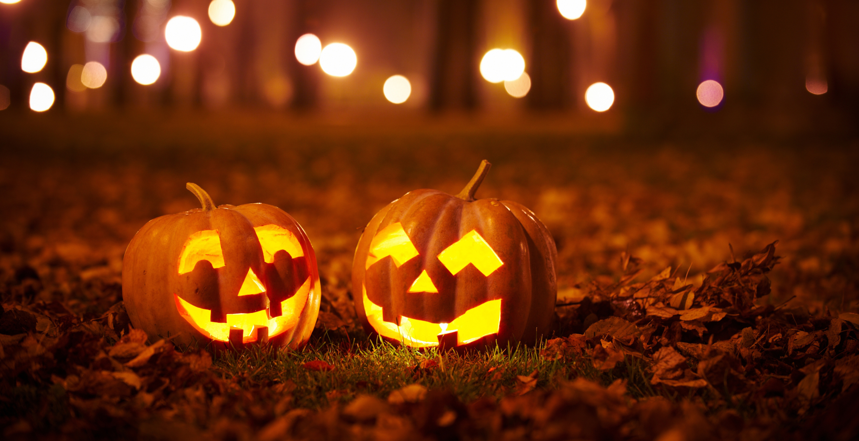 Pumpkins in yard