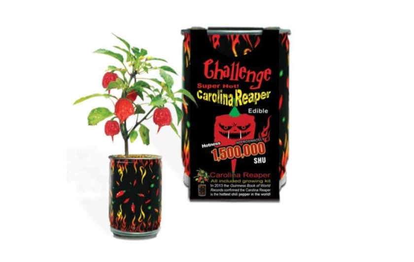 Carolina Reaper peppers