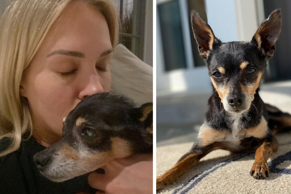 Carrie Underwood holds her dog, Ace/ photo of Carrie Undrwood's dog Ace