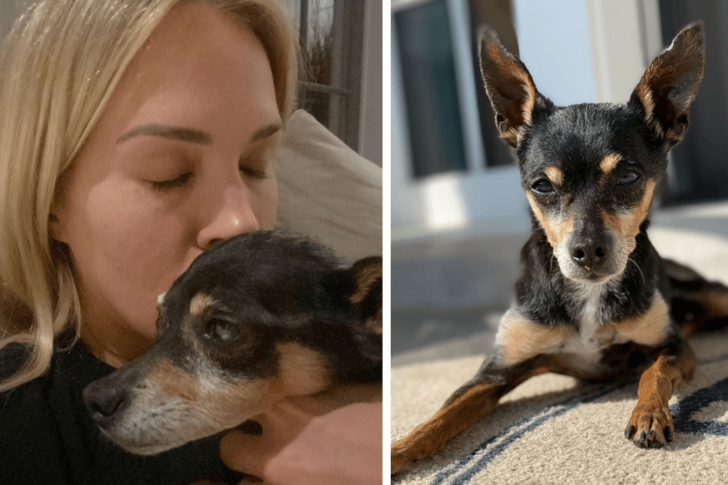 Carrie Underwood holds her dog, Ace/ photo of Carrie Undrwood's dog Ace