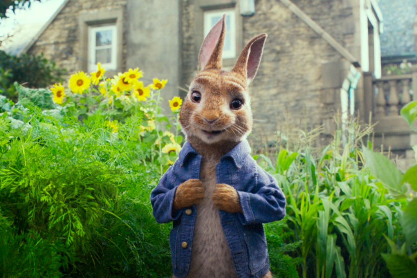 Peter Rabbit