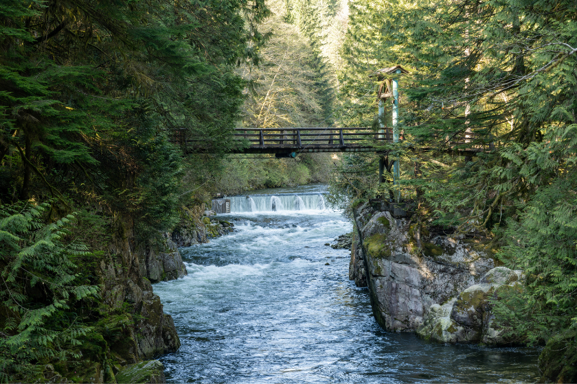 Cable Pool Bridge. Capilano River Regional Park. North Vancouver, BC, Canada.