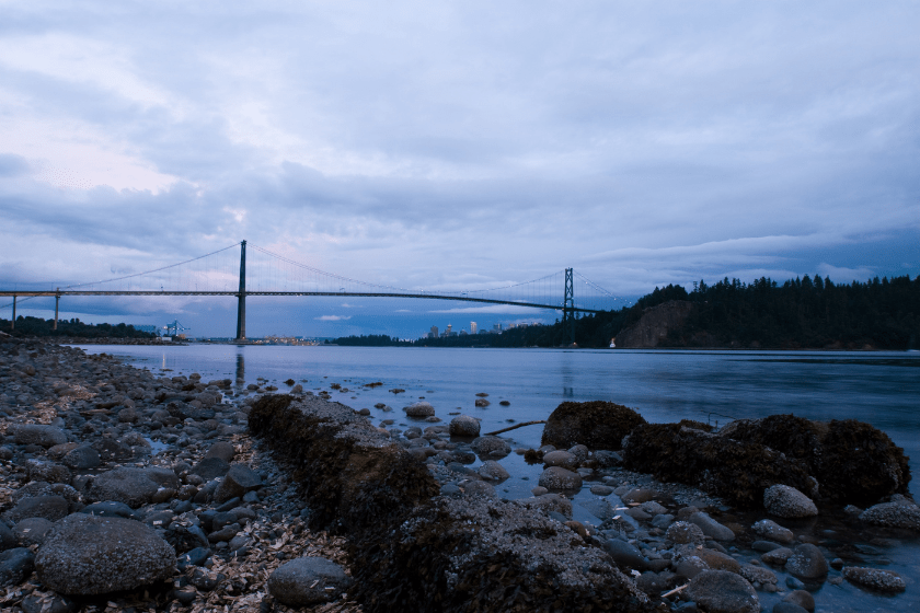 Shore view of the Lions Gate Bridge in Vancouver British Columbia. Downtown Vancouver can be seen in the distance.