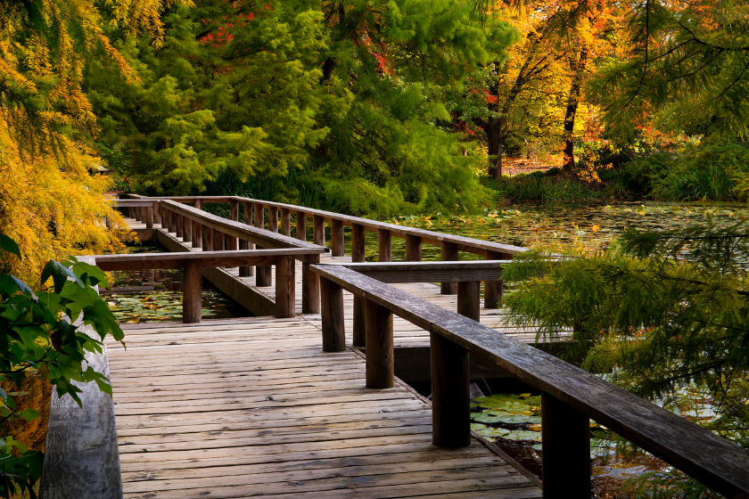 Boardwalk through VanDusen Botanical Garden in Vancouver, BC, Canada