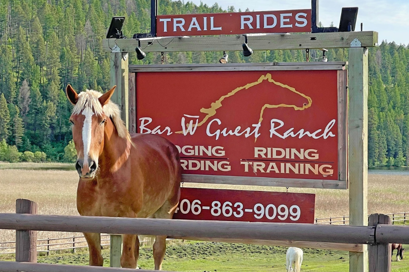 Bar w guest ranch scenery