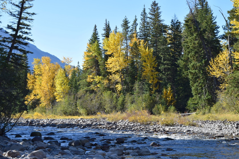 Hawley Mountain Guest Ranch