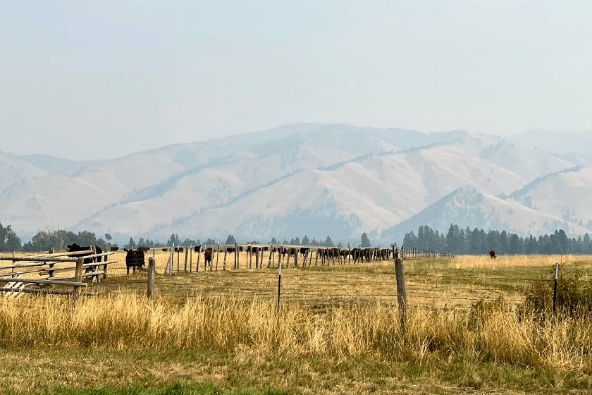 Ranch at rock creek ranch scenery