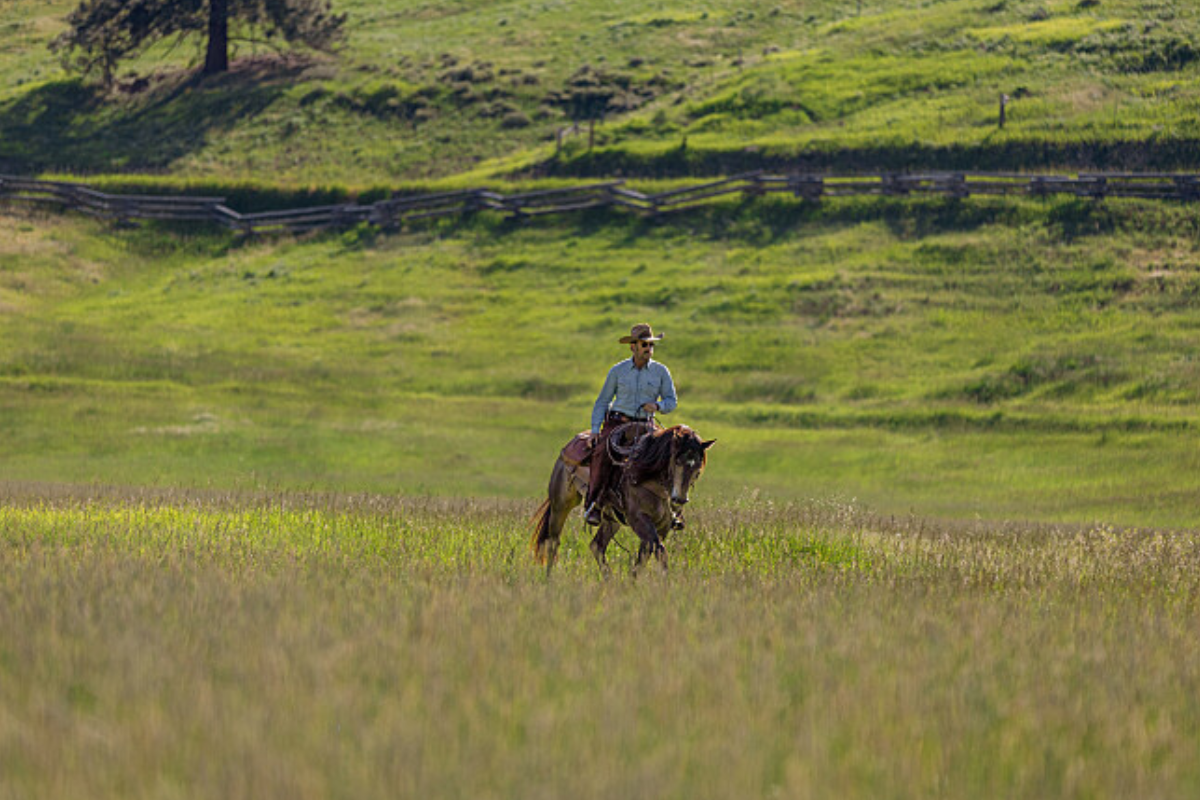 Josh Lucas as young John Dutton in Yellowstone