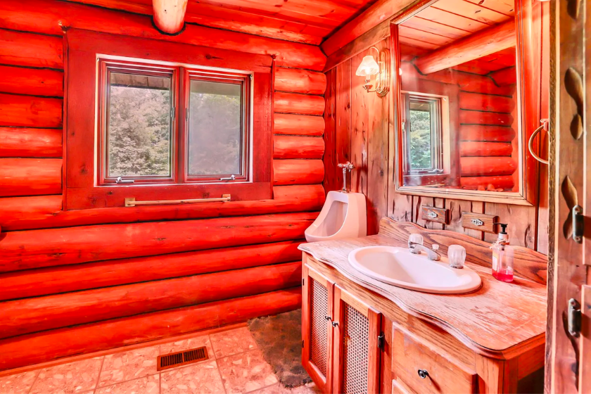 Willie Nelson Tennessee Log Cabin