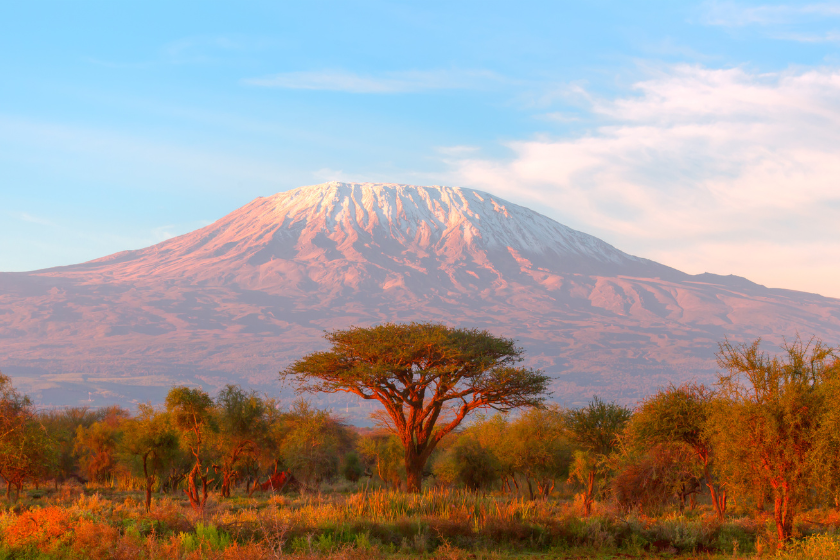 Mount Kilimanjaro with Acacia