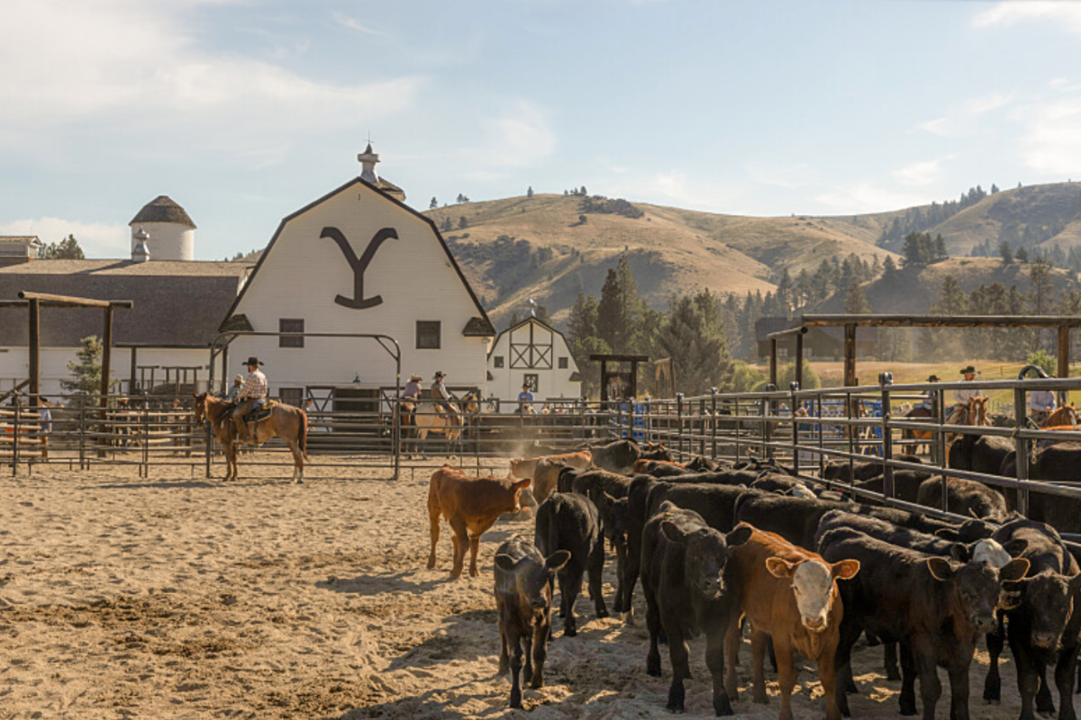 Yellowstone Ranch