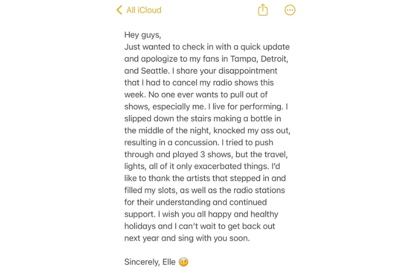 Elle King Twitter concussion note