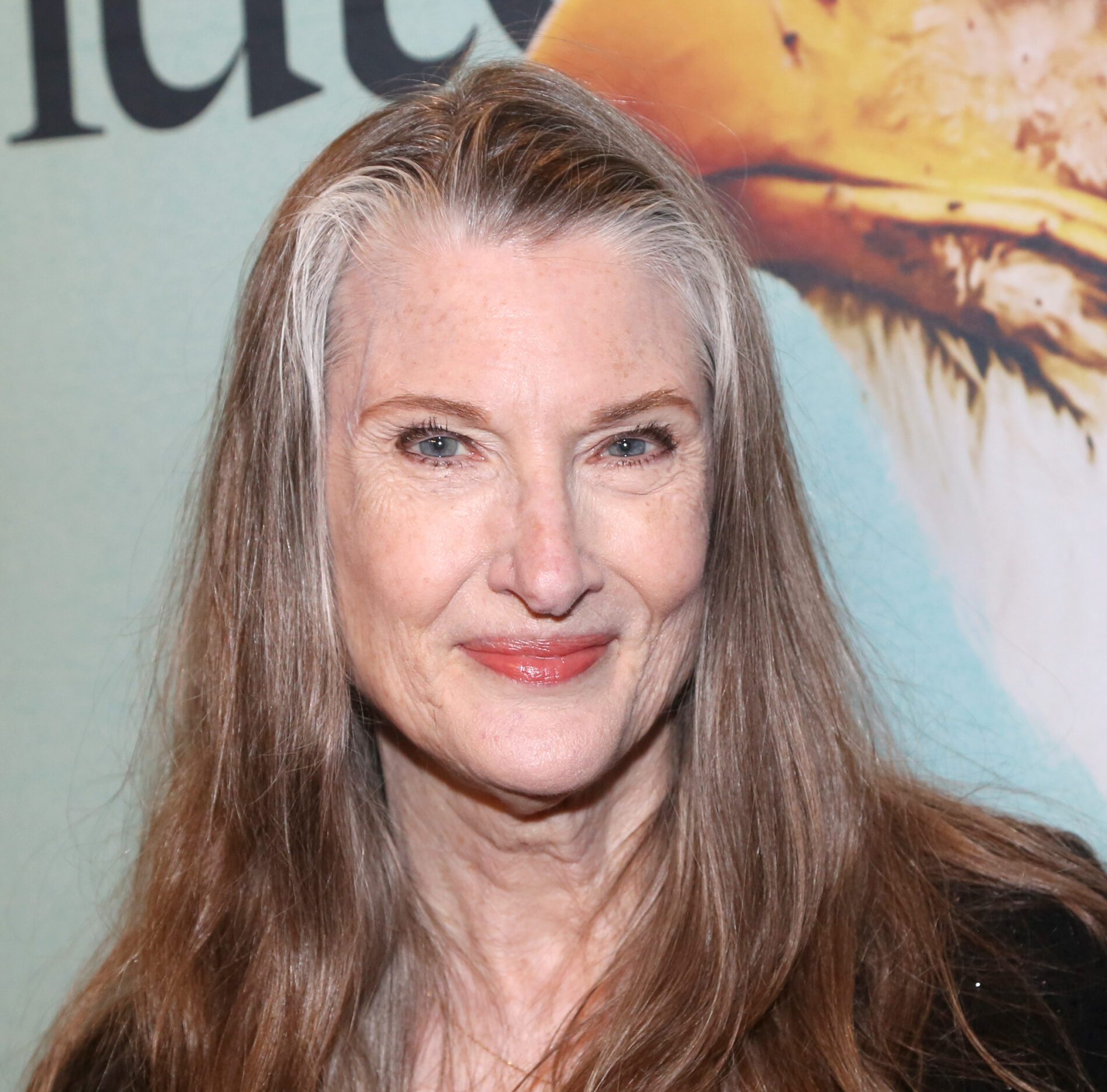 YORK, YORK - APRIL 17: Annette O'Toole poses at the opening night of the play "The Minutes" on Broadway at The Studio 54 Theater on April 17, 2022 in York City. 