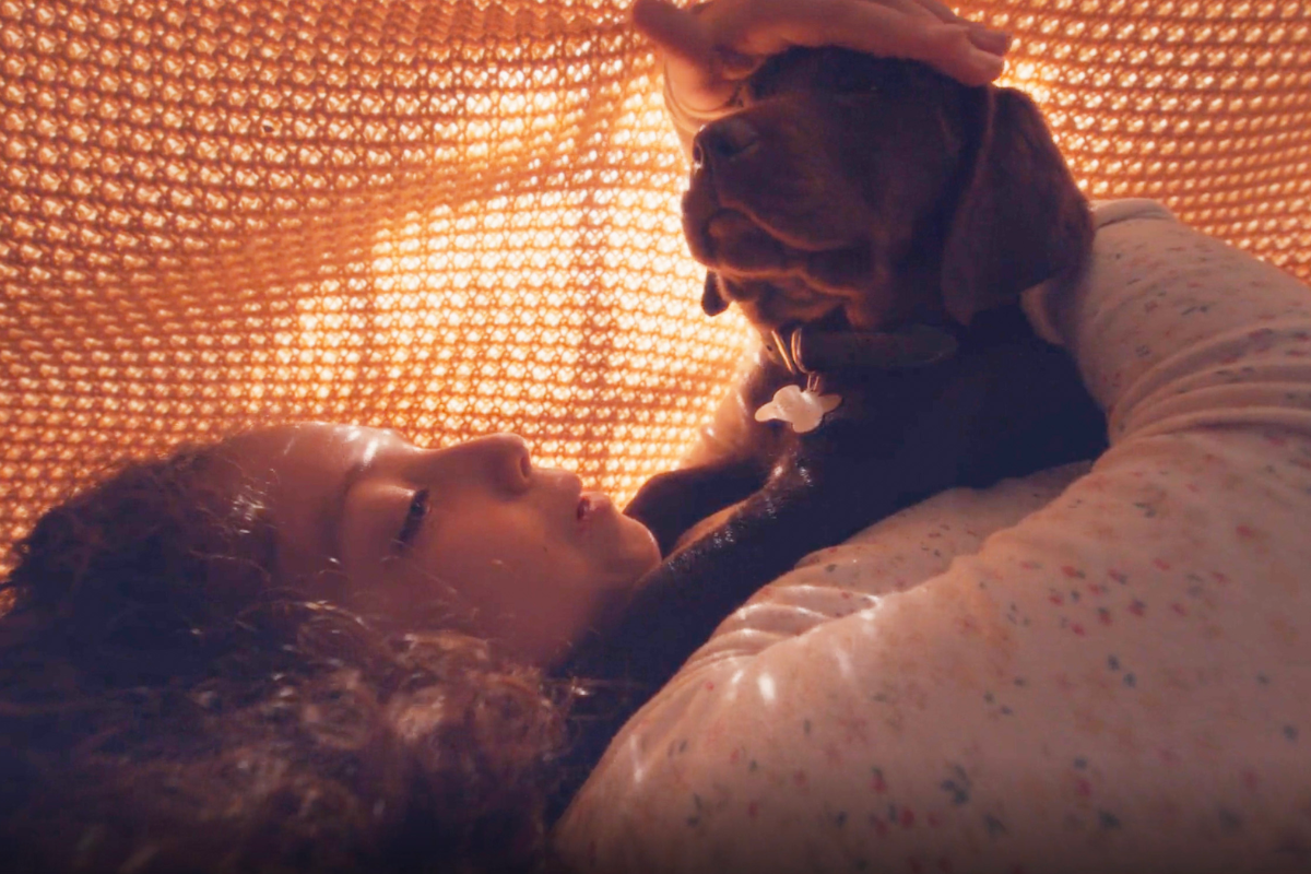 The Farmer's Dog Super Bowl Commercial