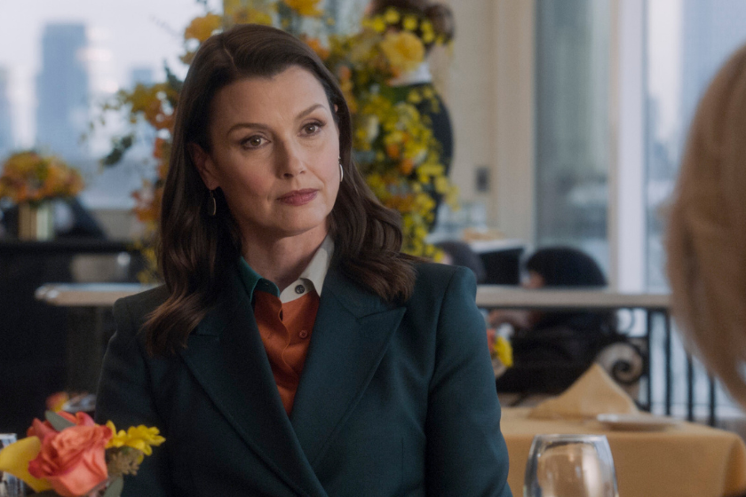 Bridget Moynahan as Erin Reagan
