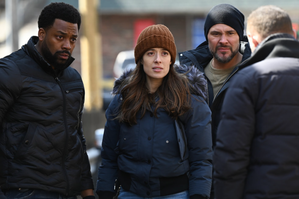 LaRoyce Hawkins as Kevin Atwater, Marina Squerciati as Kim Burgess, Patrick John Flueger as Adam Ruzek, Jason Beghe as Hank Voight