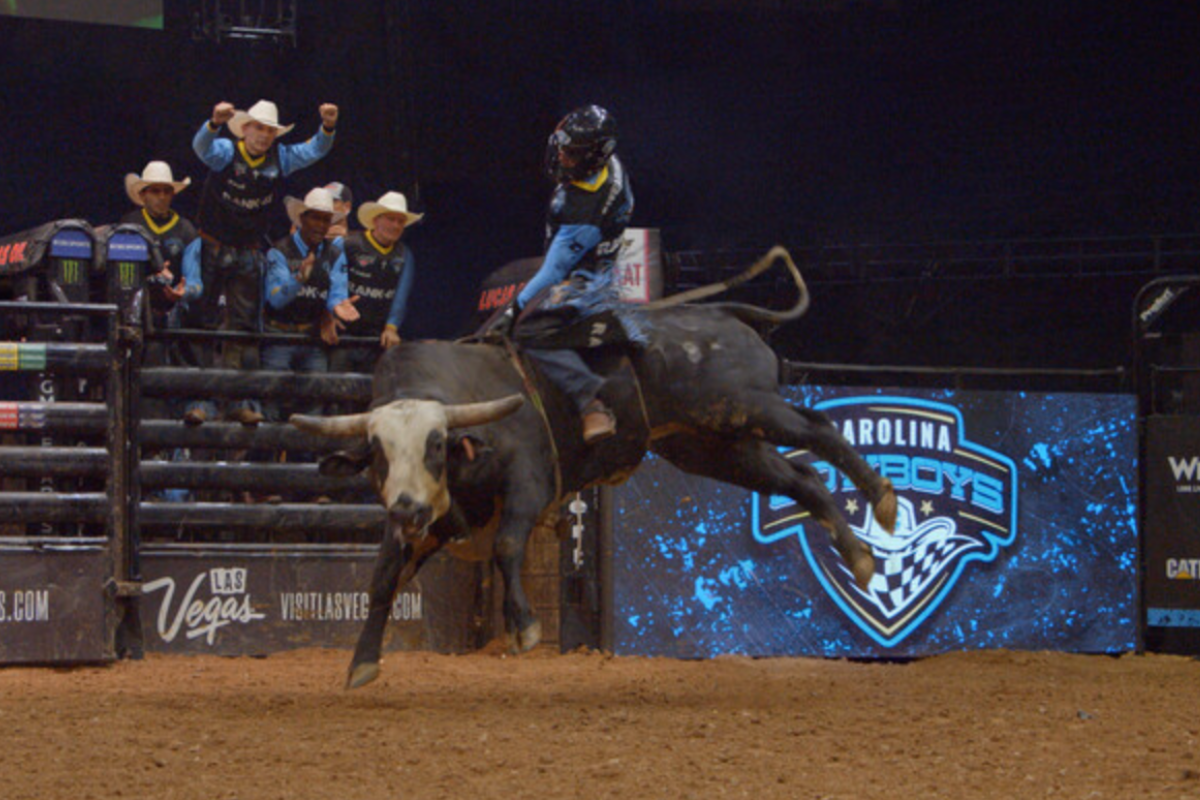 Cowboy on bull from 'The Ride'