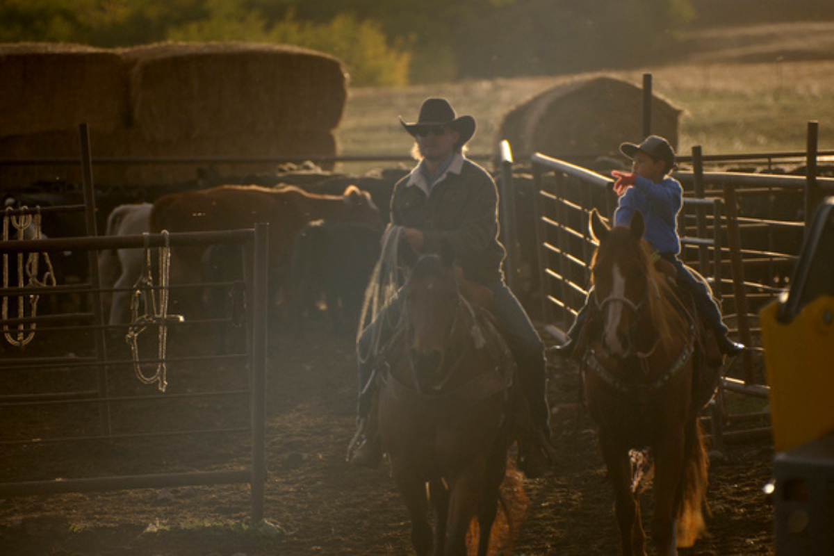 Cowboy rides horse on the ranch on 'The Ride'