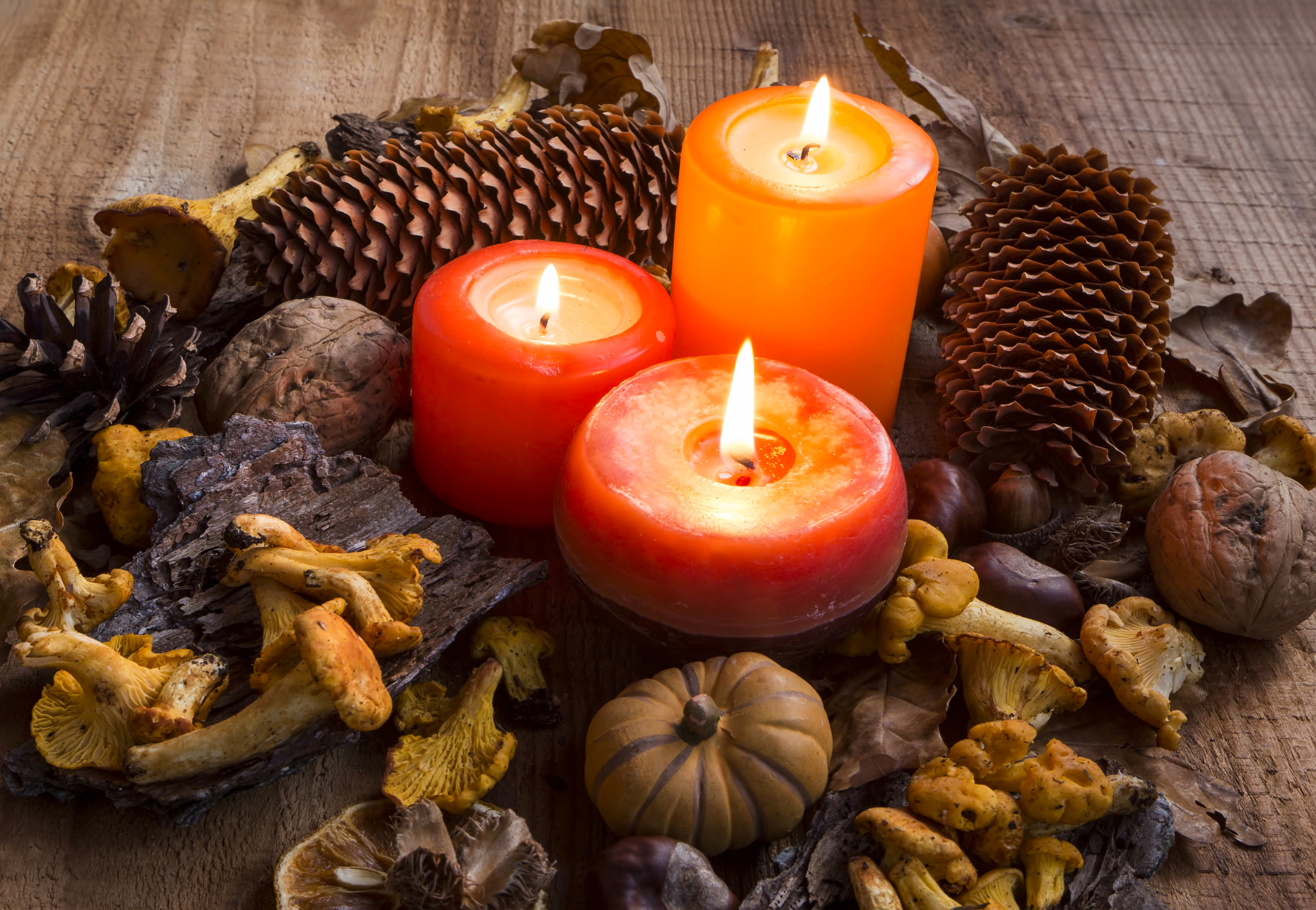 Fall candles decorations with dried leaves, pumpkins, chanterelle mushrooms, pine cones