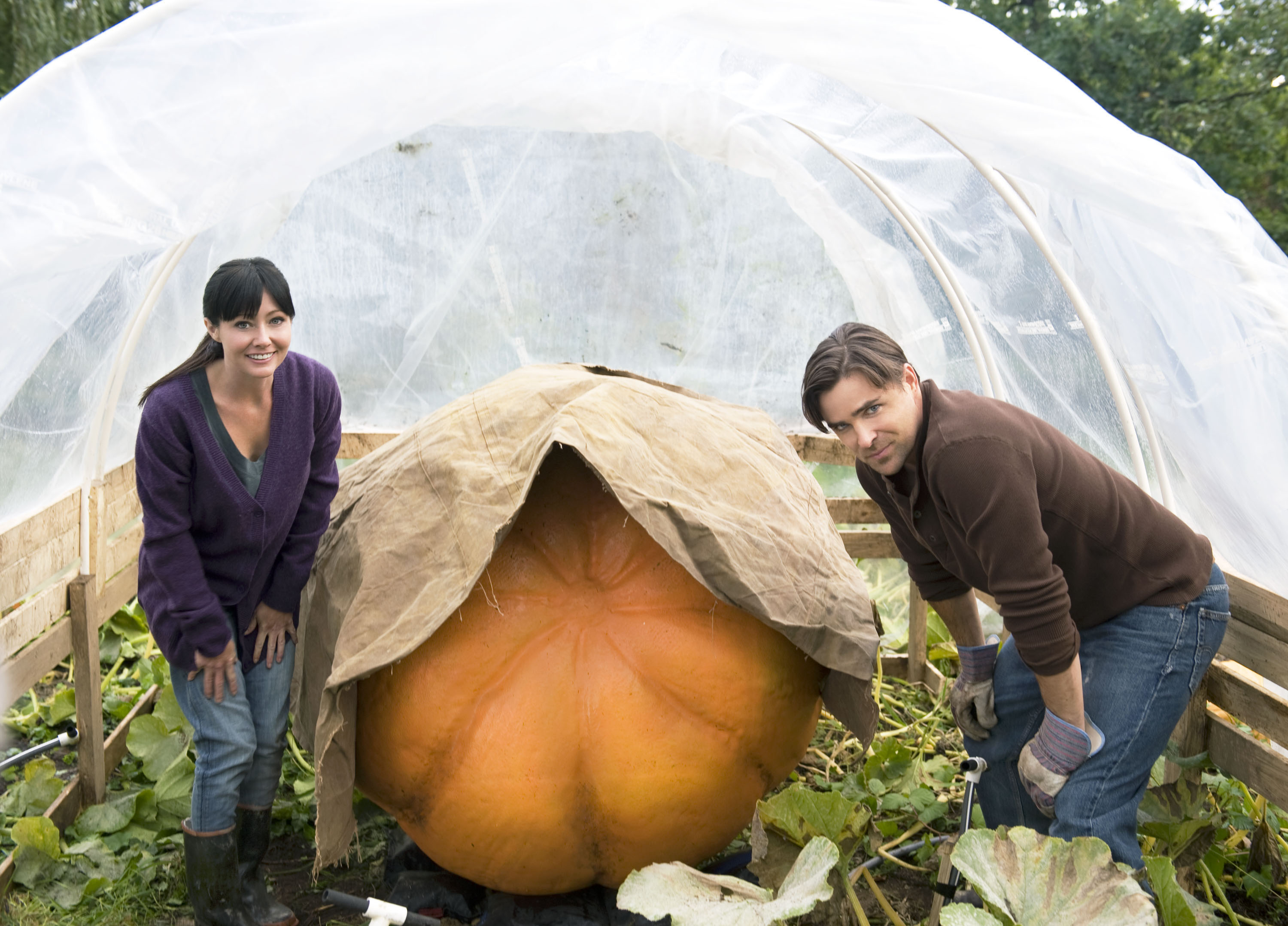 Emma (Shannen Doherty) resists Seth's (Kavan Smith) offer to buy her late grandfather's prized pumpkin seeds but agrees to partner with him in hopes of bettering her chances to win the local pumpkin growing competition. 