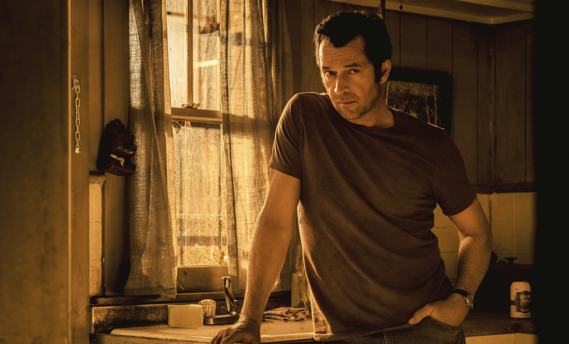 James Purefoy in Hap and Leonard (2016)