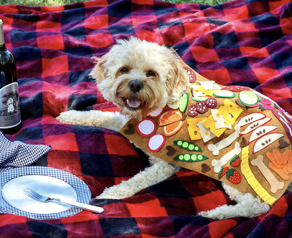 Dog dressed as a picnic
