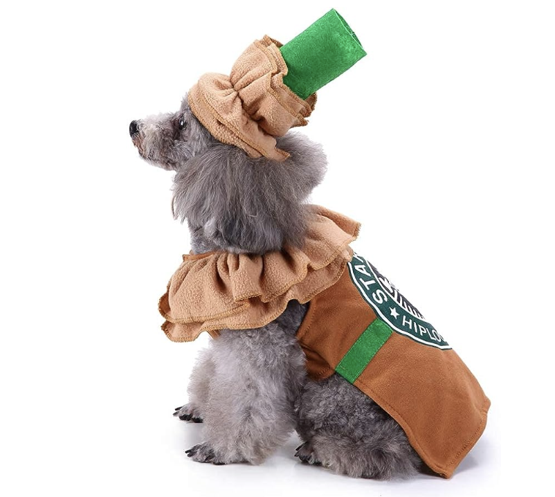 Dog dressed up as a cappachino
