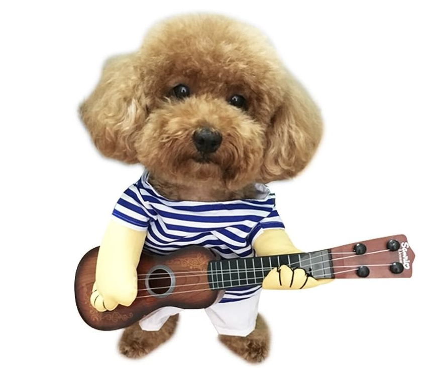 Dog with a guitar