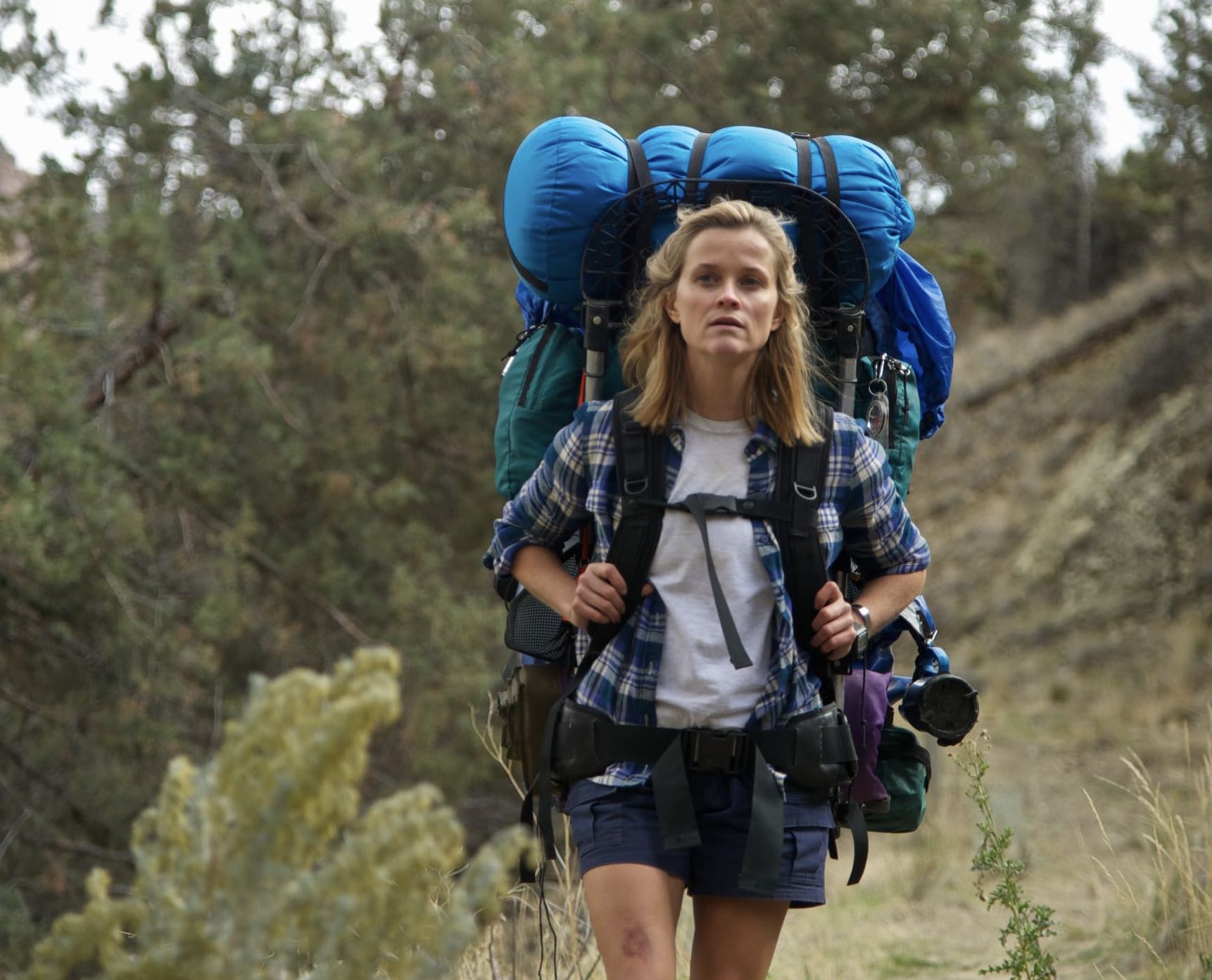 Reese Witherspoon in Wild (2014)