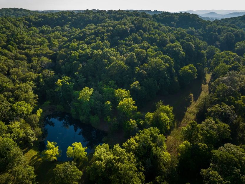 Realtor.com image of Justin Timberlake's for-sale property near Nashville