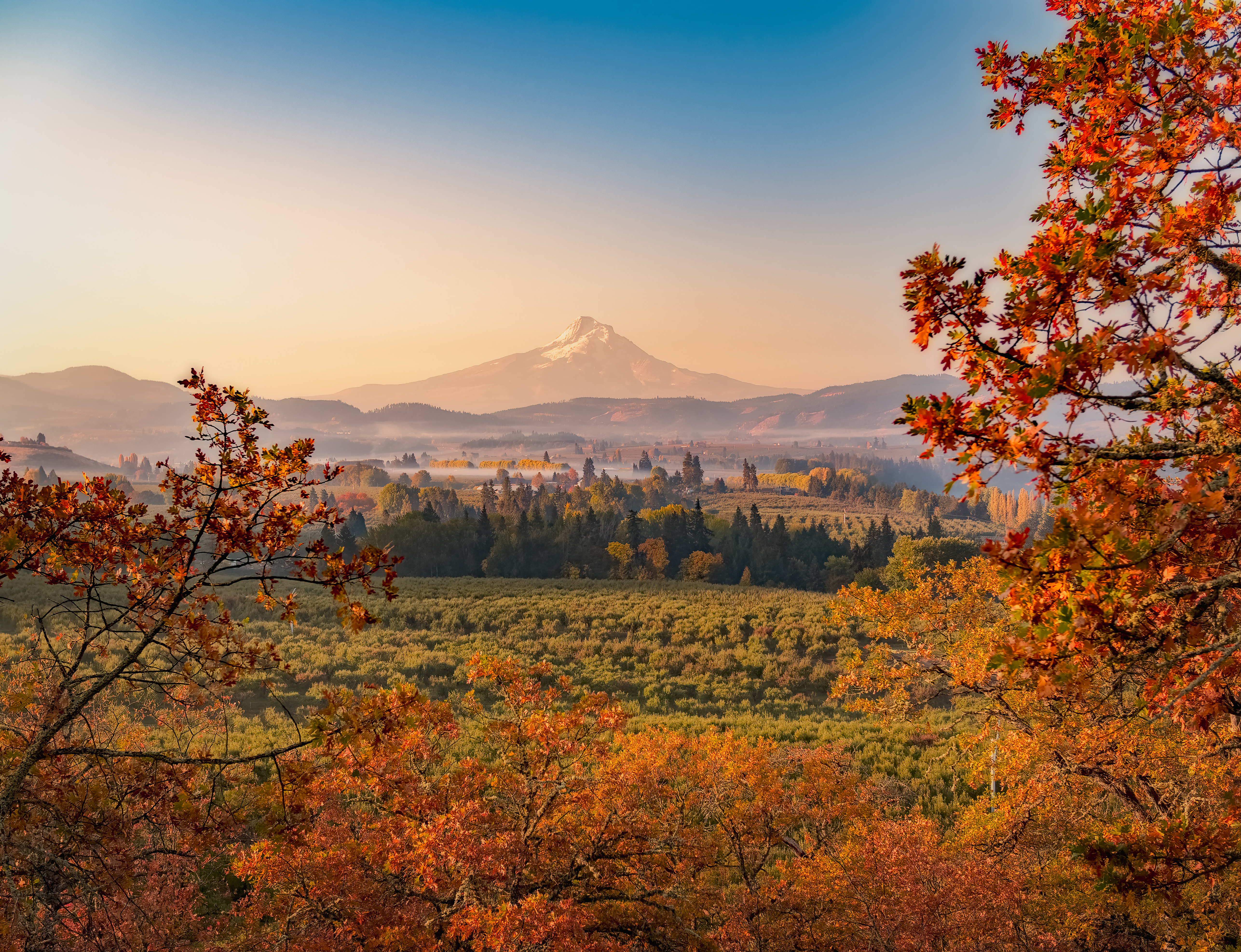 Autumn sunrise looking over the orchards and vineyards with Mt Hood in the distance looking south towards the mountain