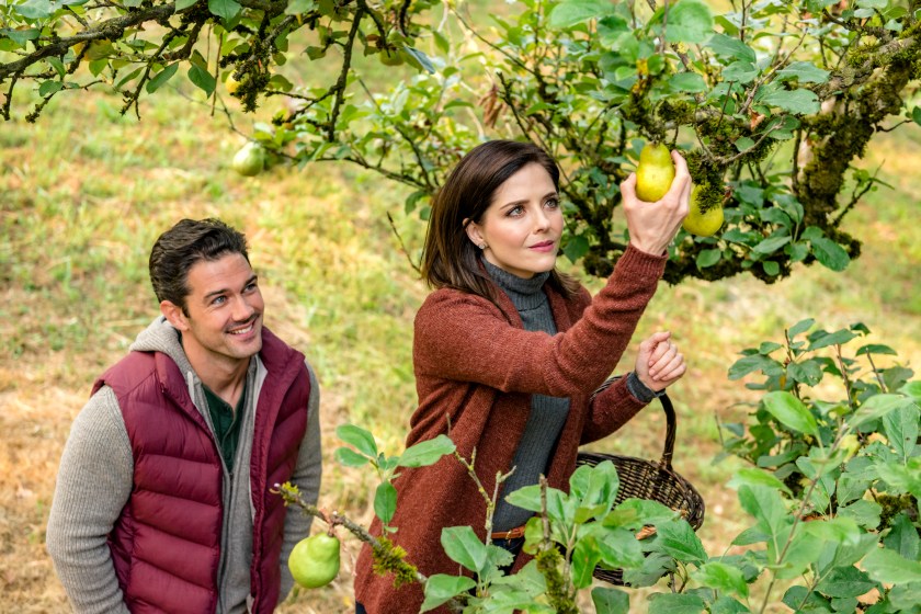 Ryan Paevey and Jen Lilley star in Hallmark's "Harvest Love."