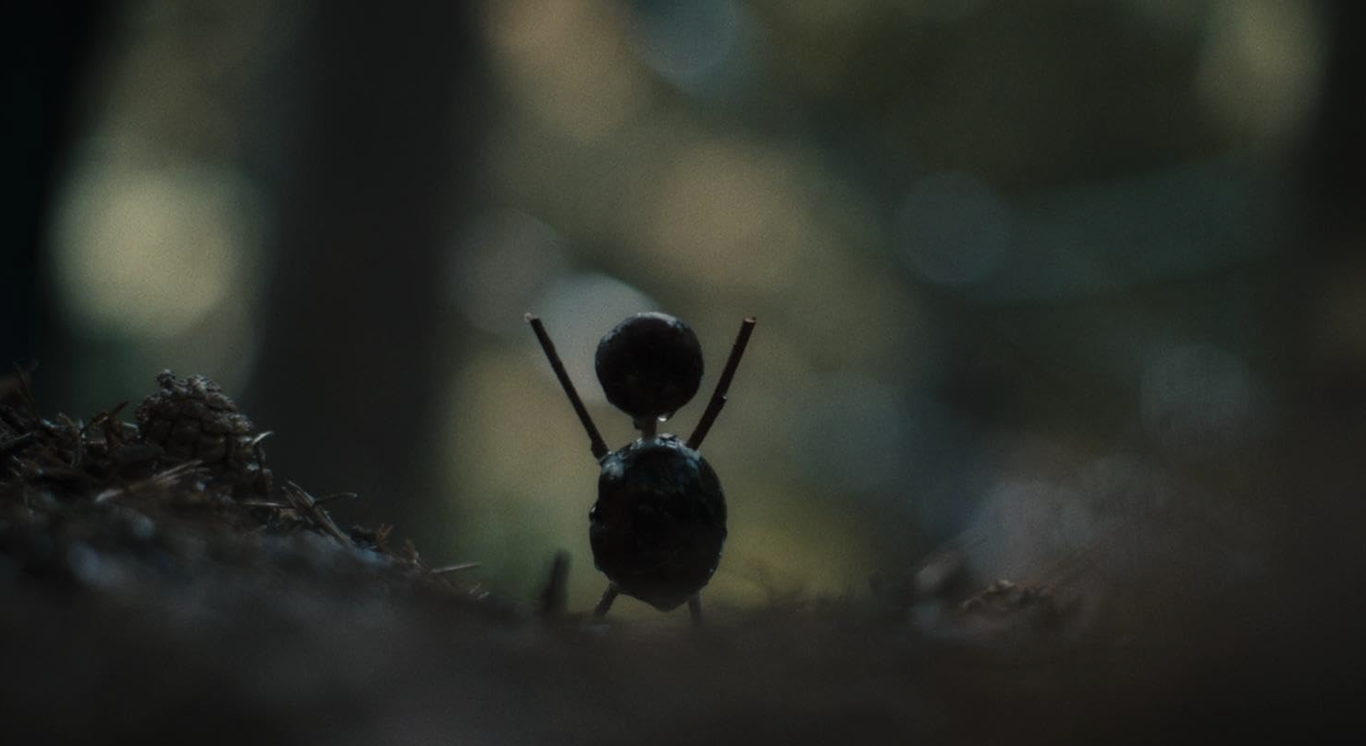 The Chestnut Man (2021)