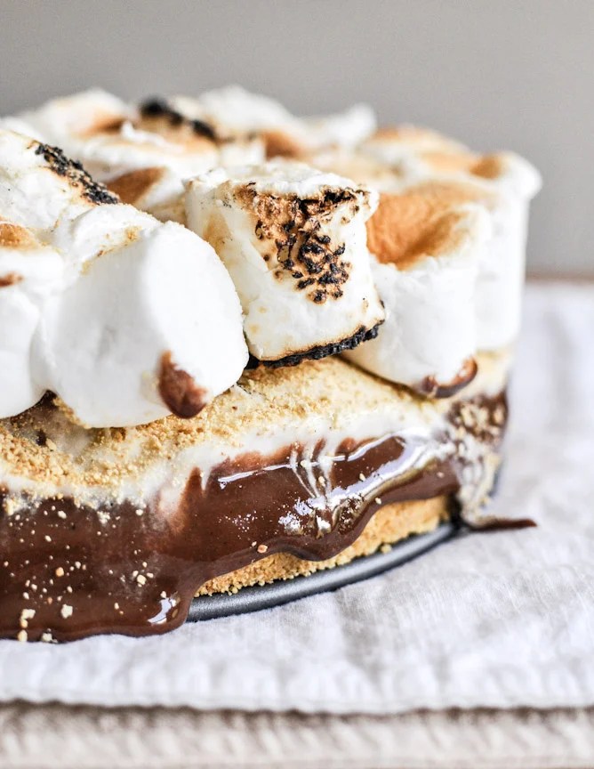 https://www.howsweeteats.com/2012/09/gooey-smores-ice-cream-mess-err-i-mean-cake