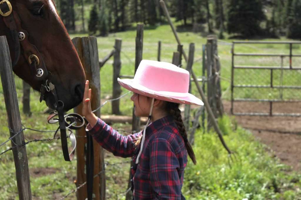 Sprucedale Ranch