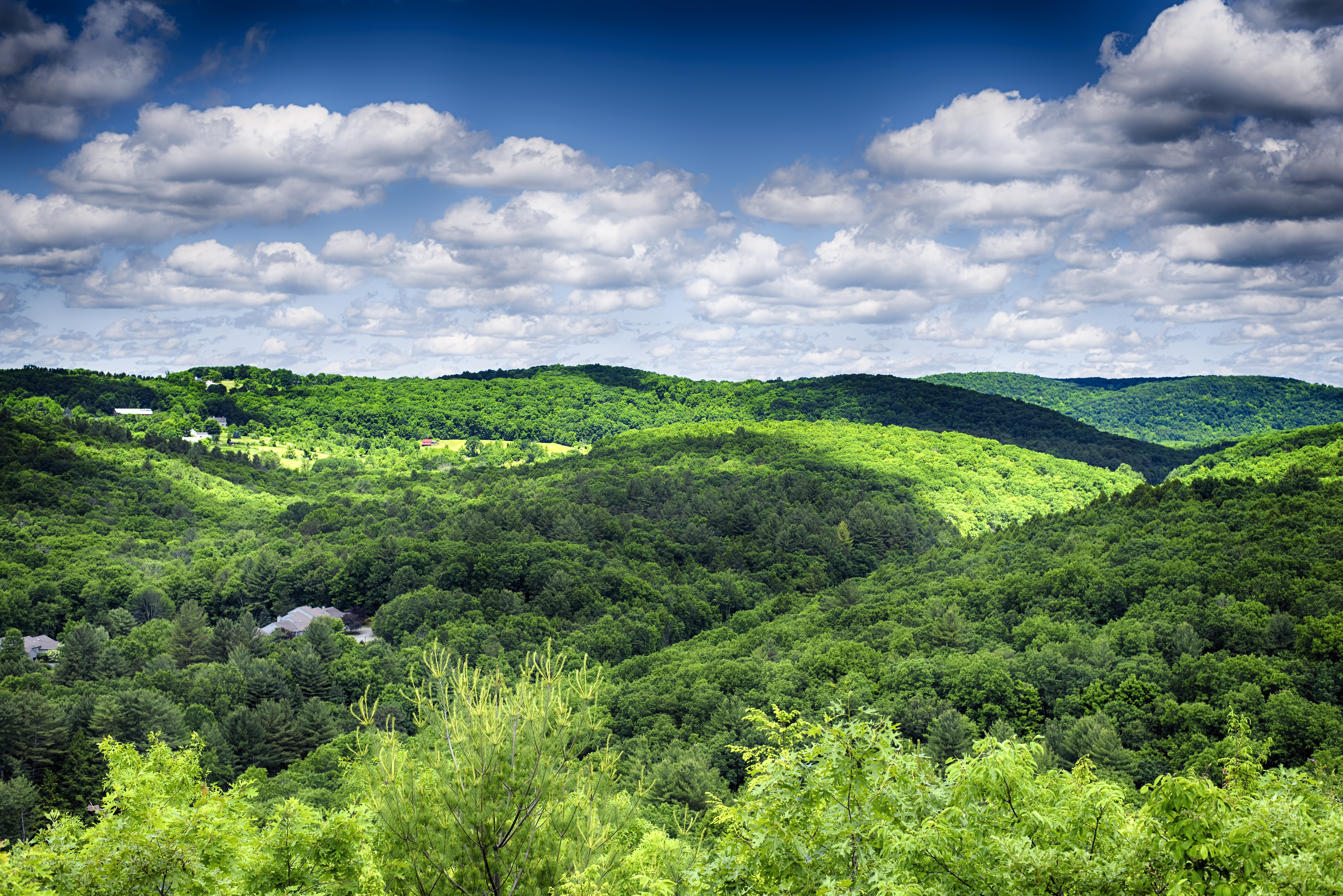 The rolling hills of litchfield county at the hidden valley nature preserve in washington depot connecticut on a summer day.